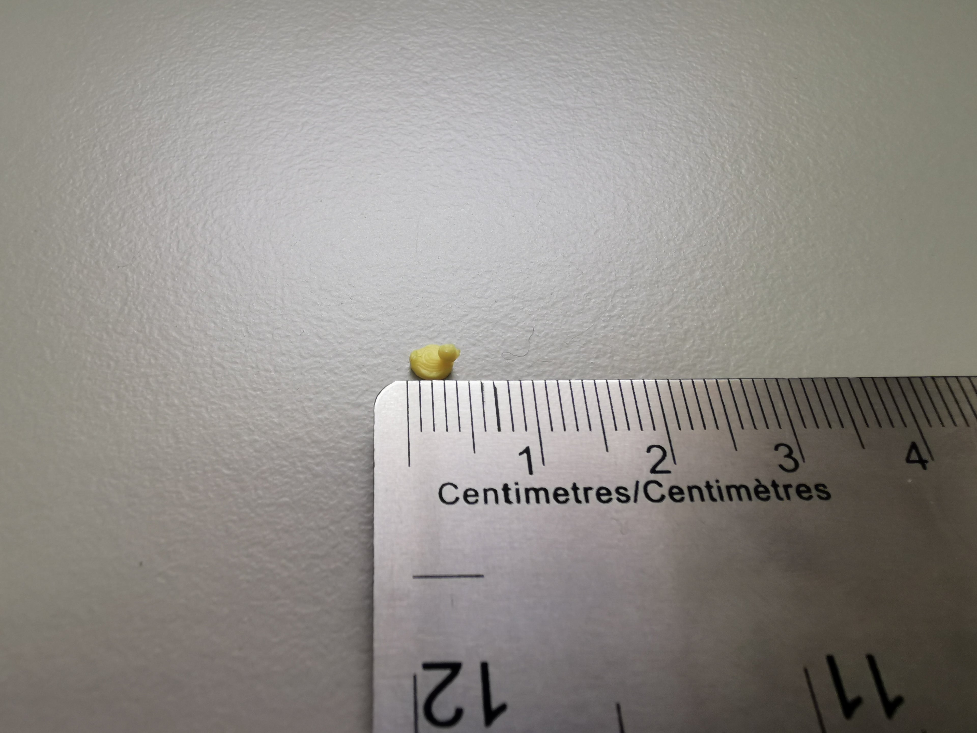 Tiny Duck