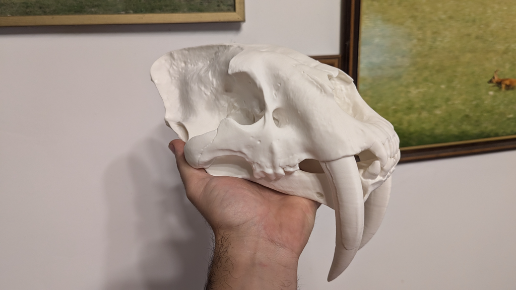 Simildon skull