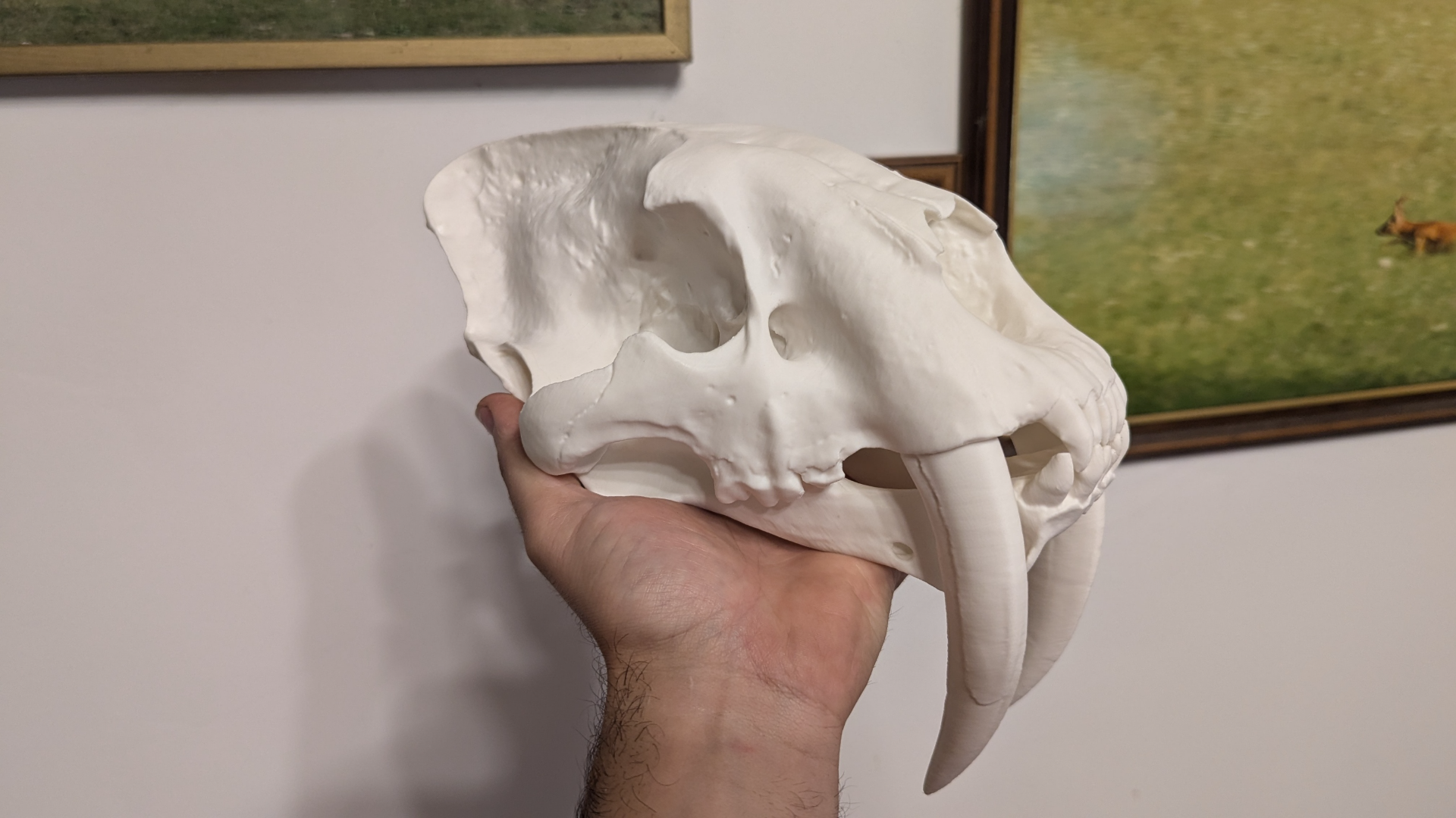 Simildon skull