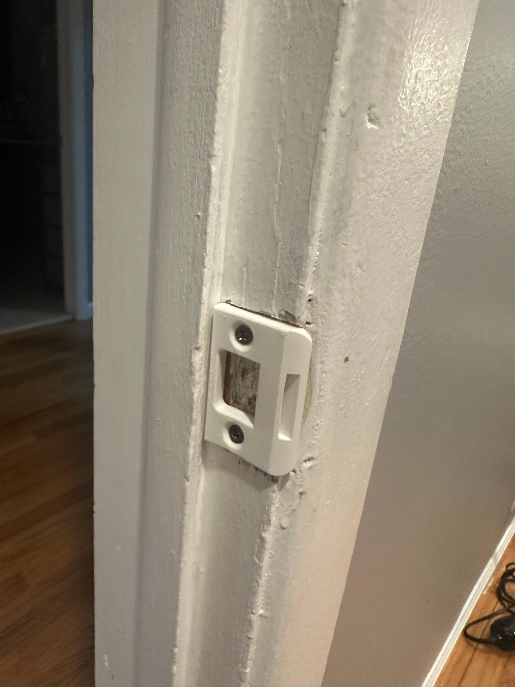 Strike Plate with removable Blocker