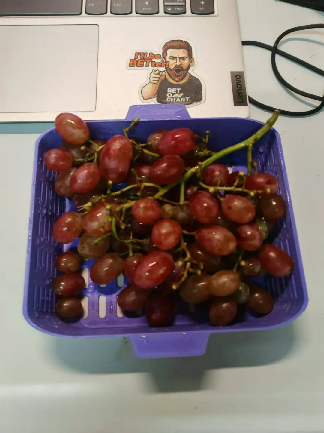 小水果篮
