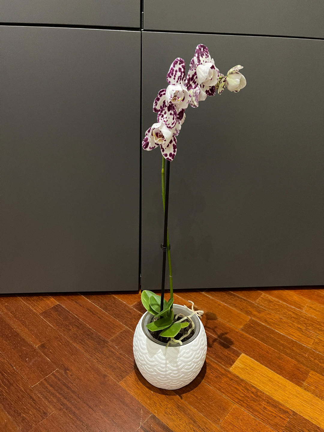 decorative vase