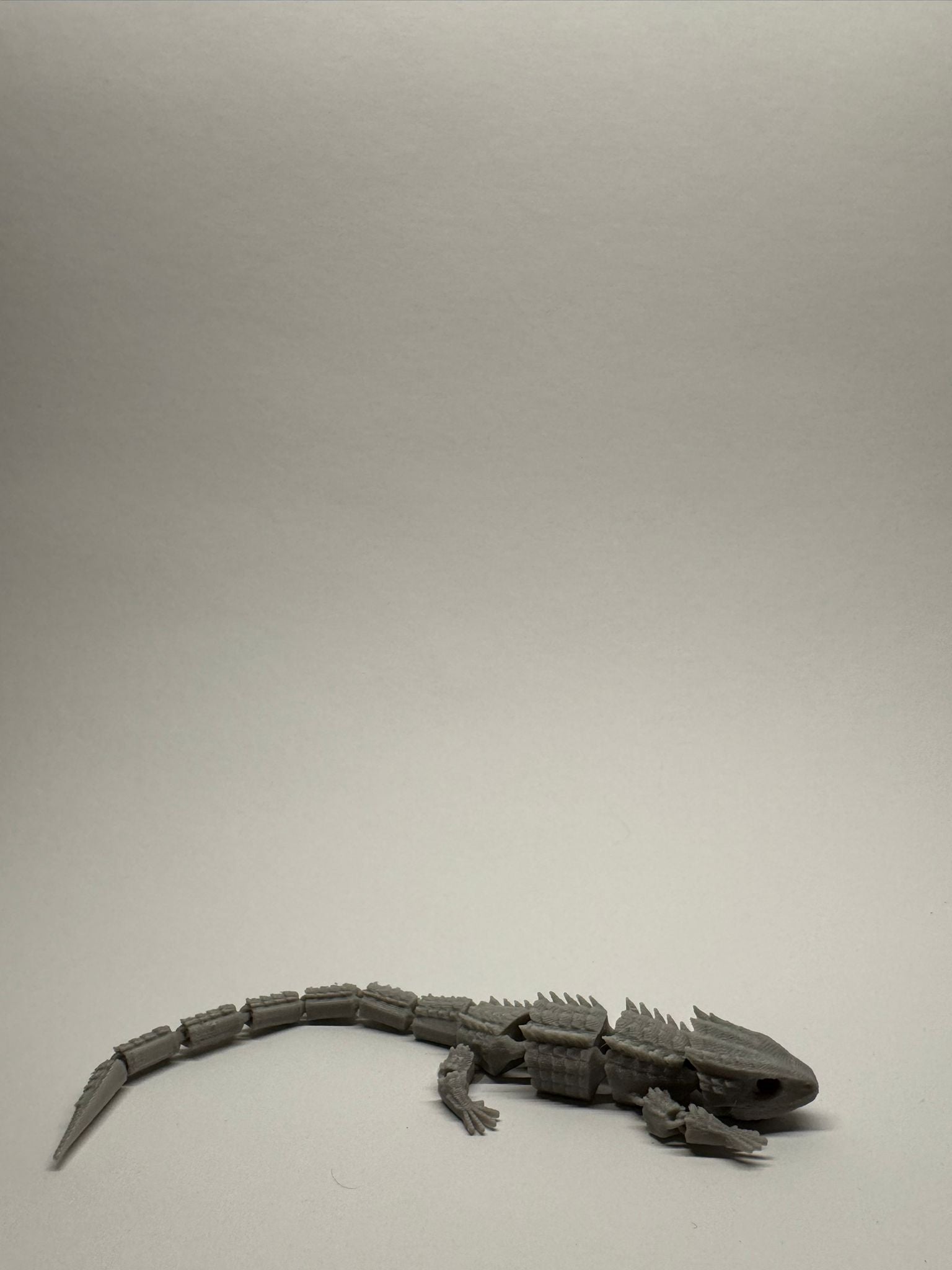 Articulated Lizard