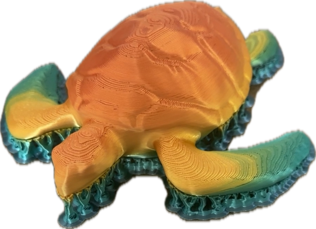 Turtle - public