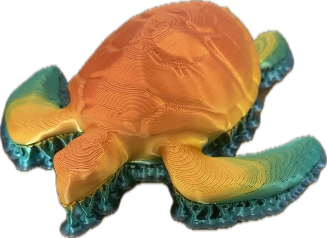 Turtle - public