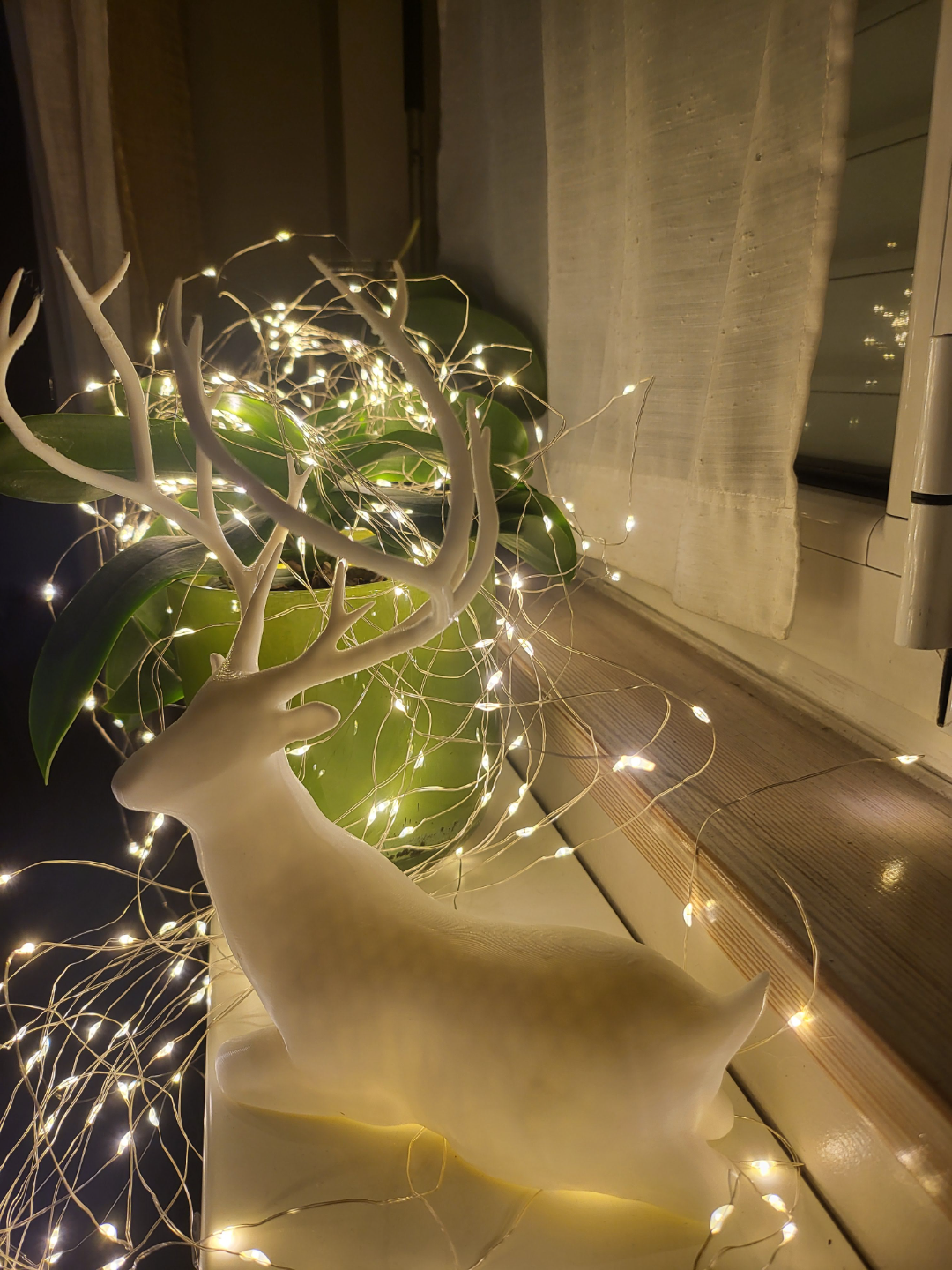 deer christmas- cervo