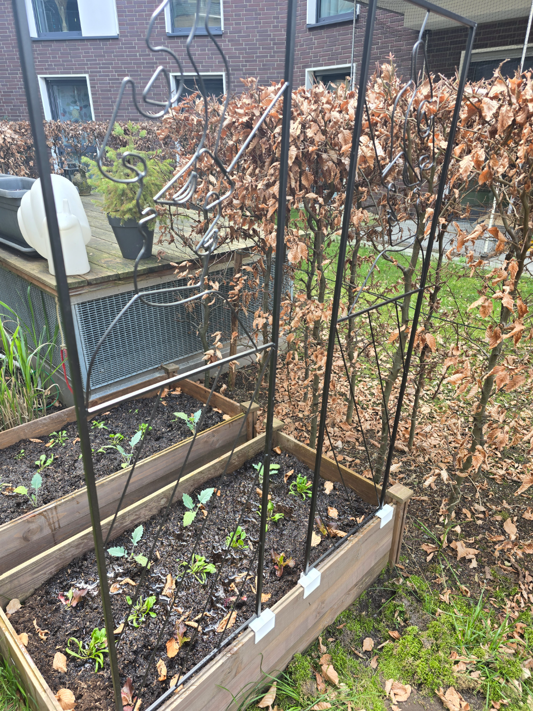 Rankgitter für Hochbeet/Trellis raised bed holder