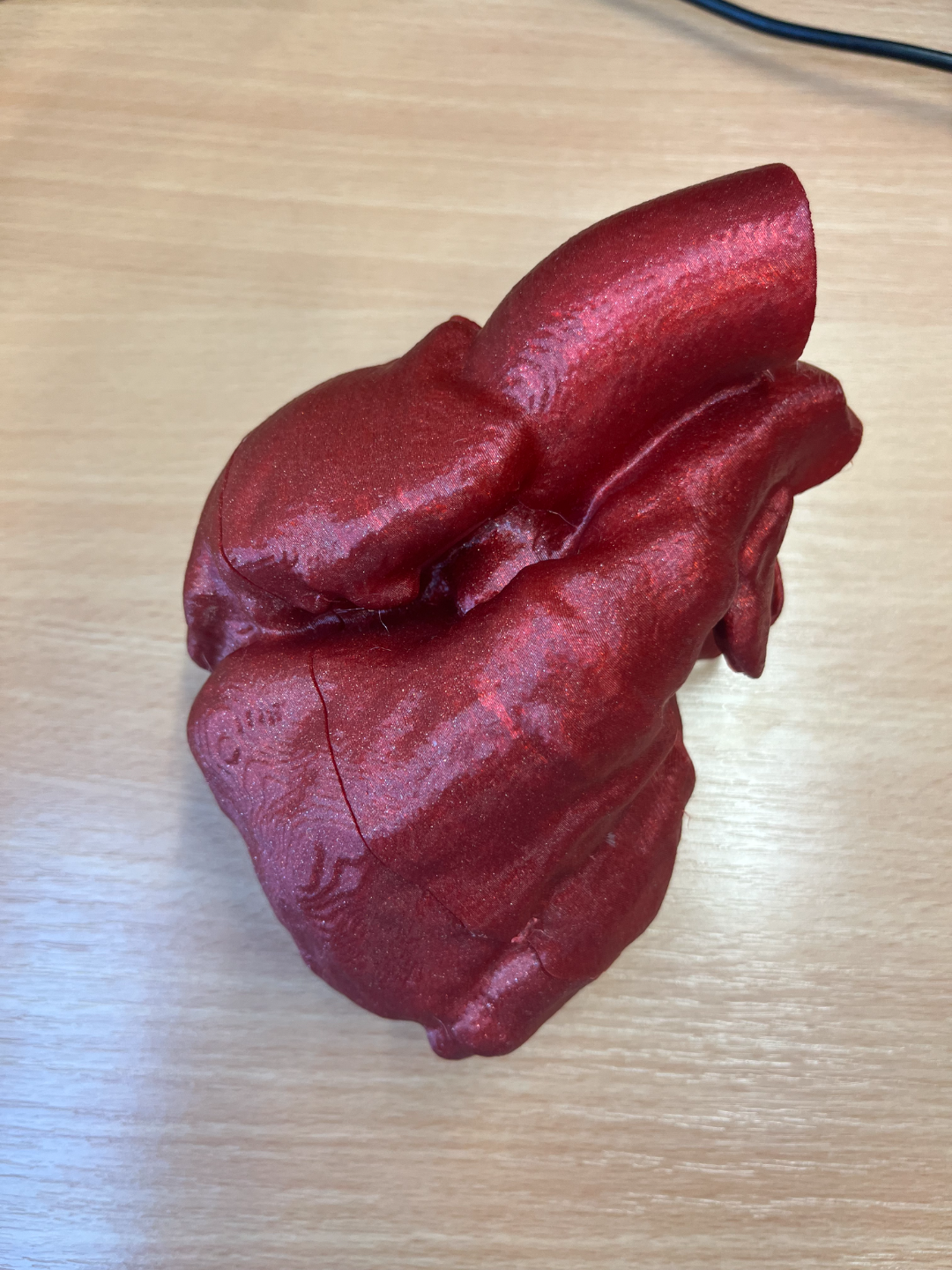 Human hearth
