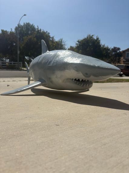 life size great white shark