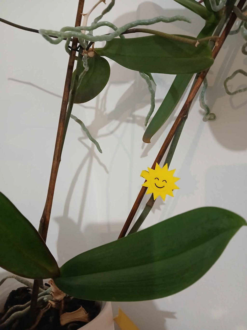 Smiling Sun decoration