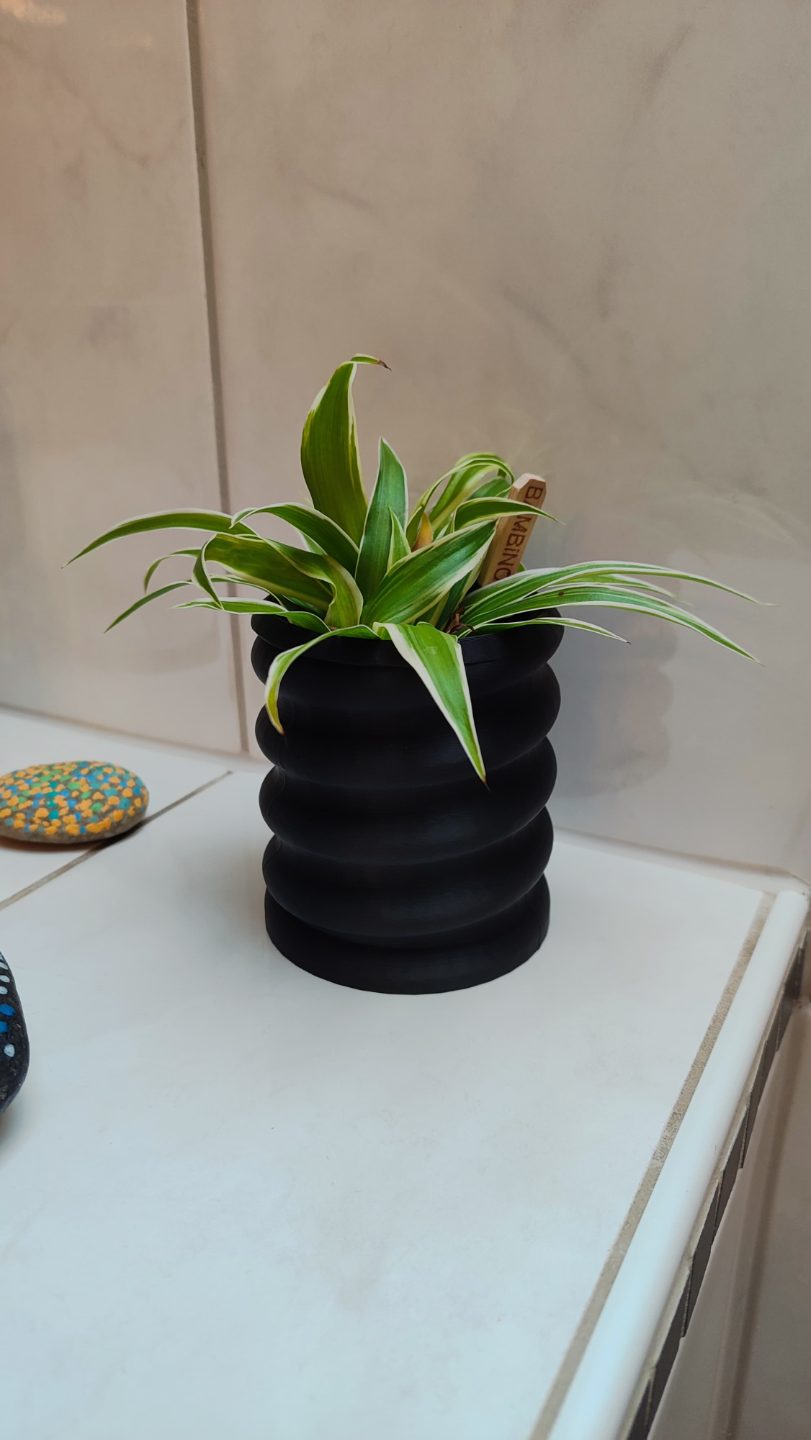 Spiral Plant Pot