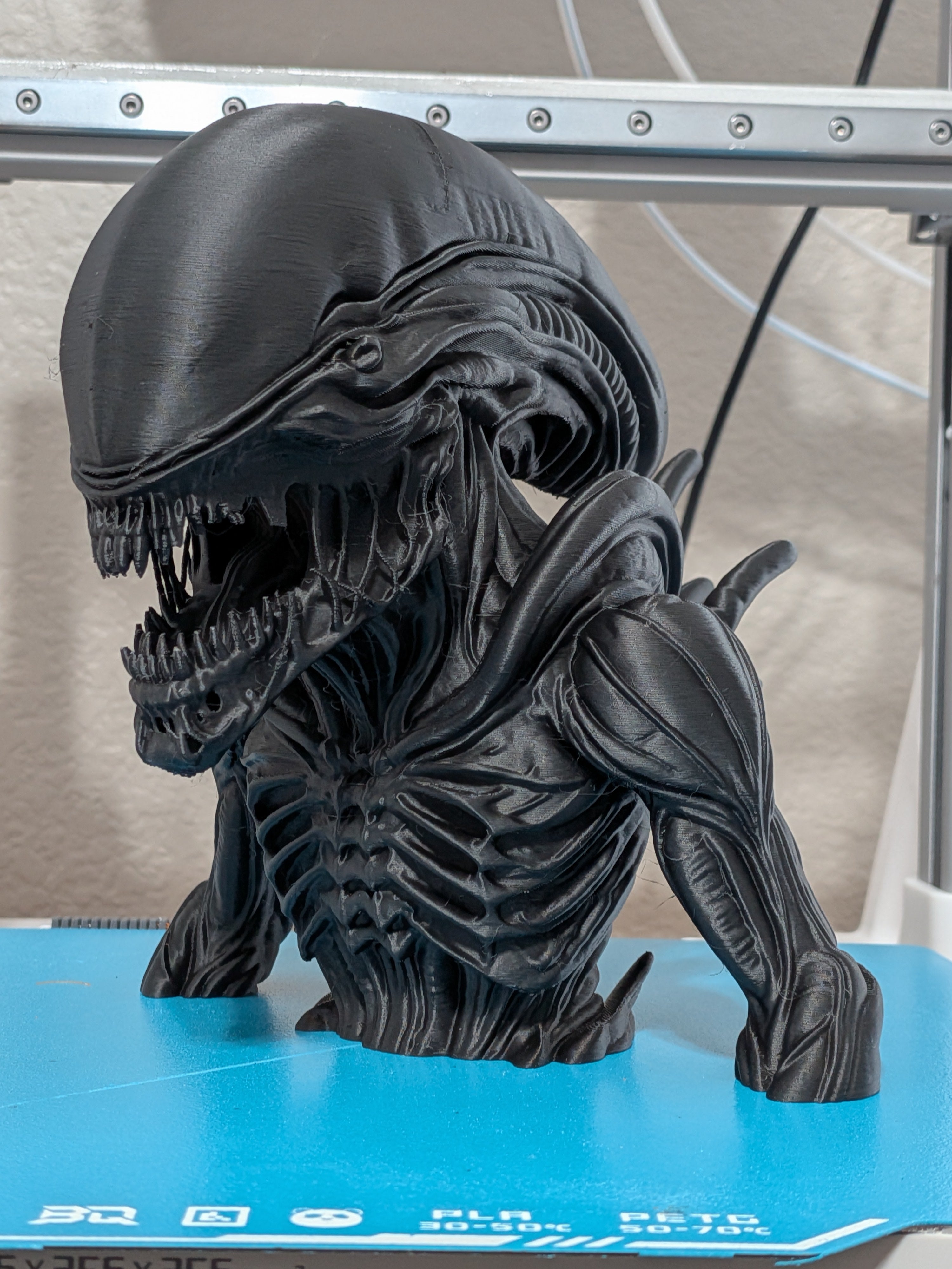 Xenomorph Alien