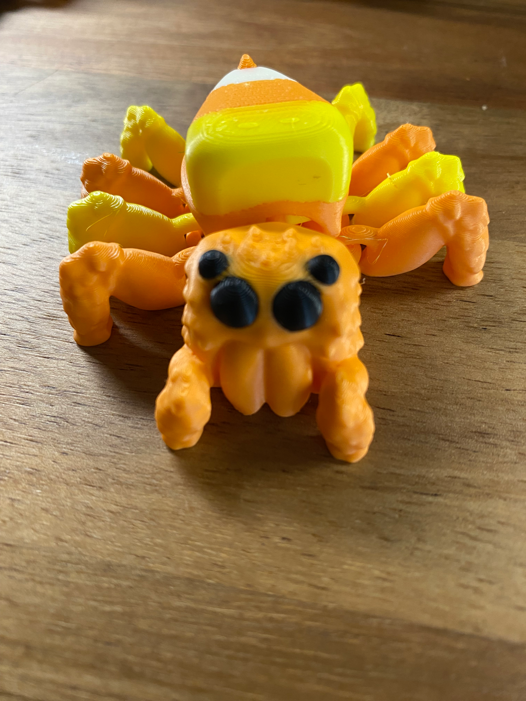 Candy Corn Jumping Spider