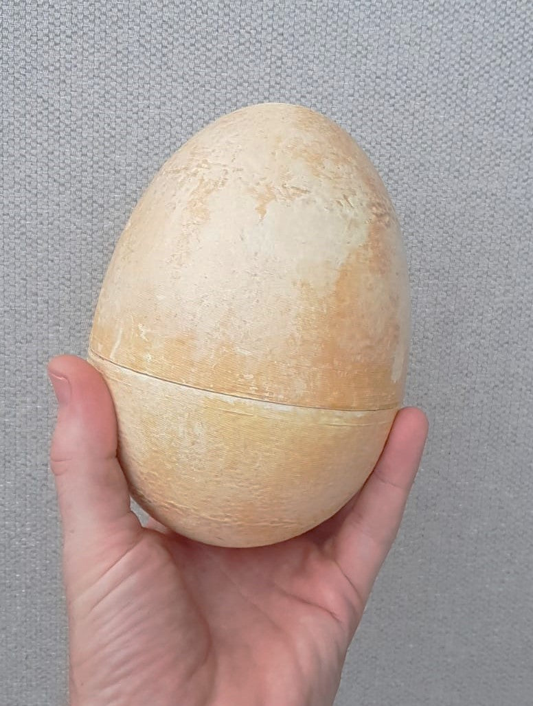 Dinosaur egg