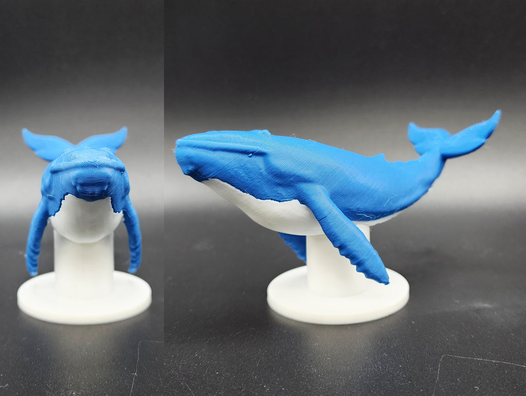 Blue Whale w/Stand AMS