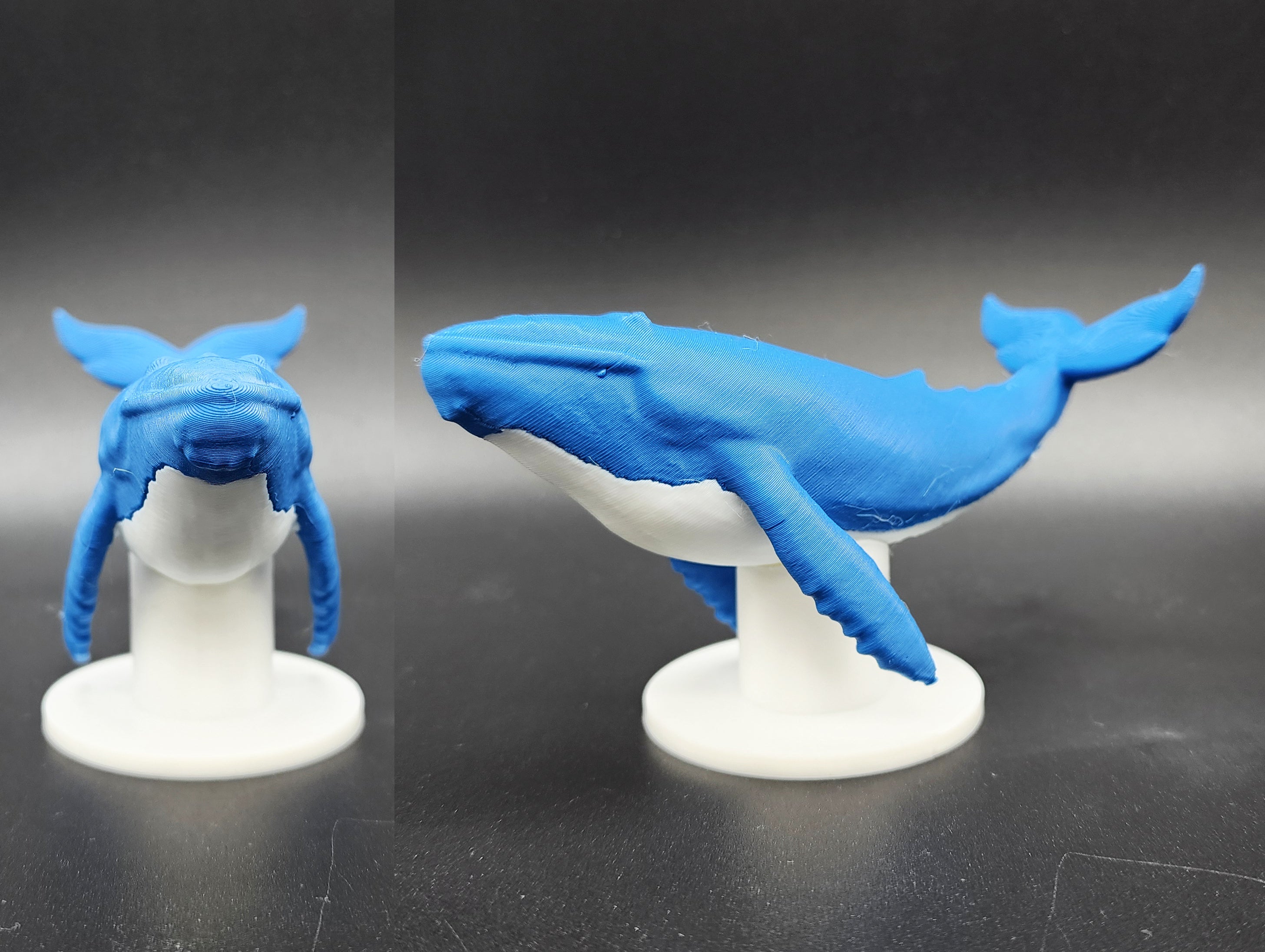 Blue Whale w/Stand AMS