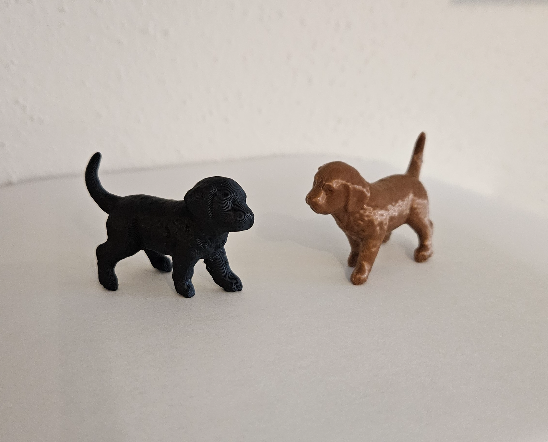 kleiner Hund - little Dog