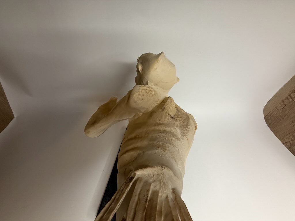 Fiji mermaid