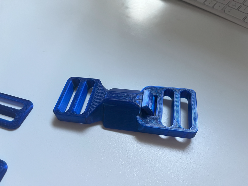 Buckle with slides - 2 inch