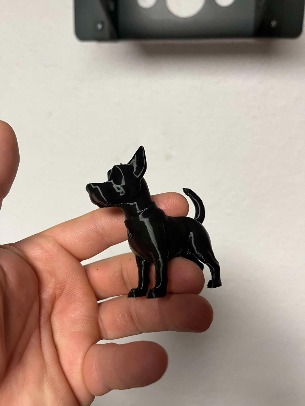 A small dog
