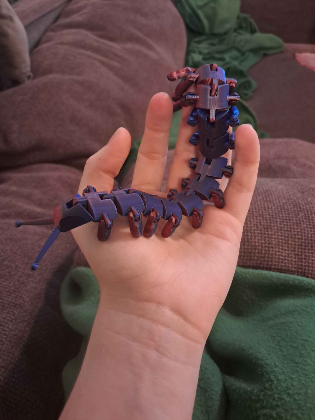 flexy Velvet worm