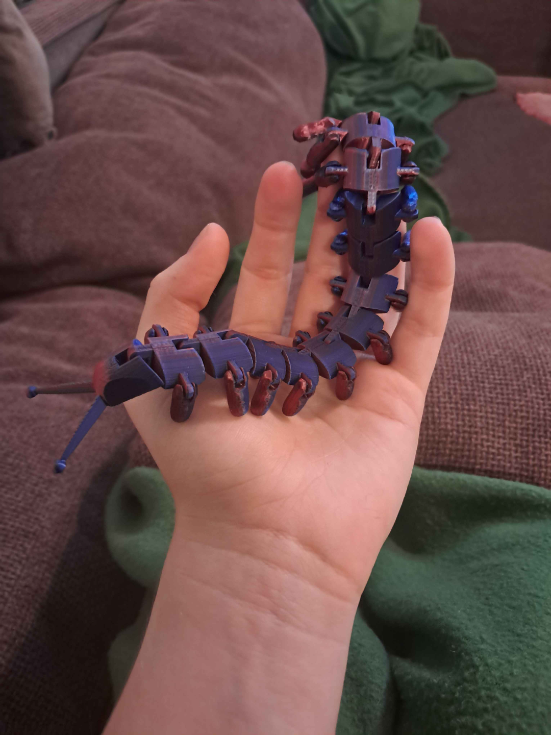 flexy Velvet worm