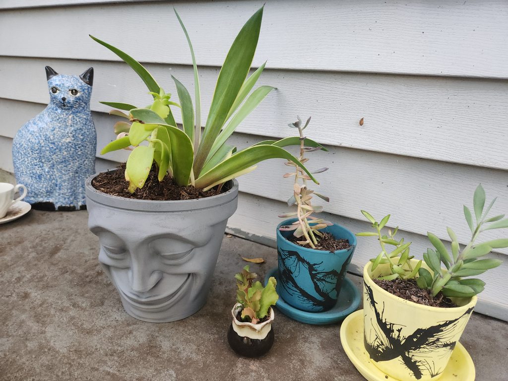 Smiling Face Pot