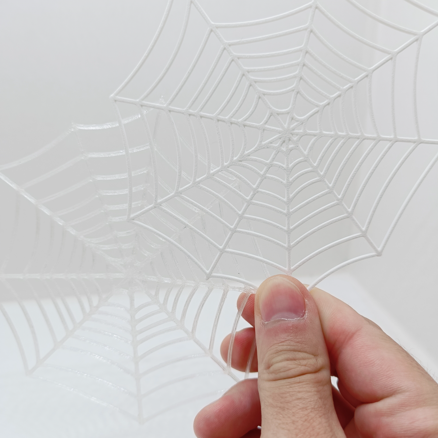 Halloween spider Web