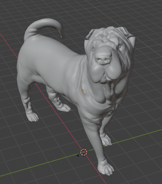 Shar Pei Dog