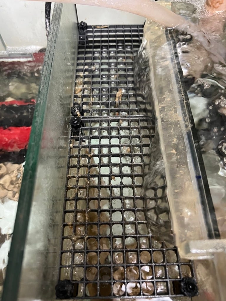 Grid for use with Perlon in aquariums