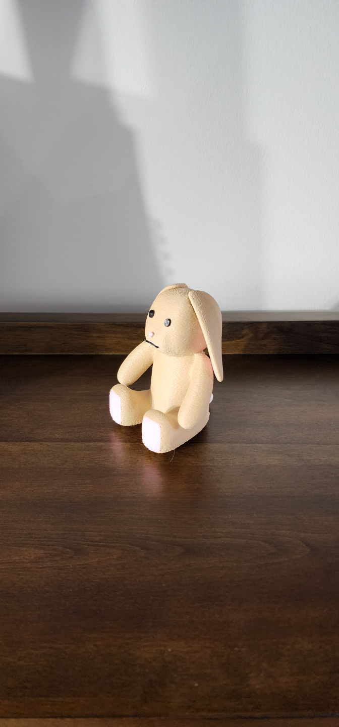 Cute Fuzzy Bunny