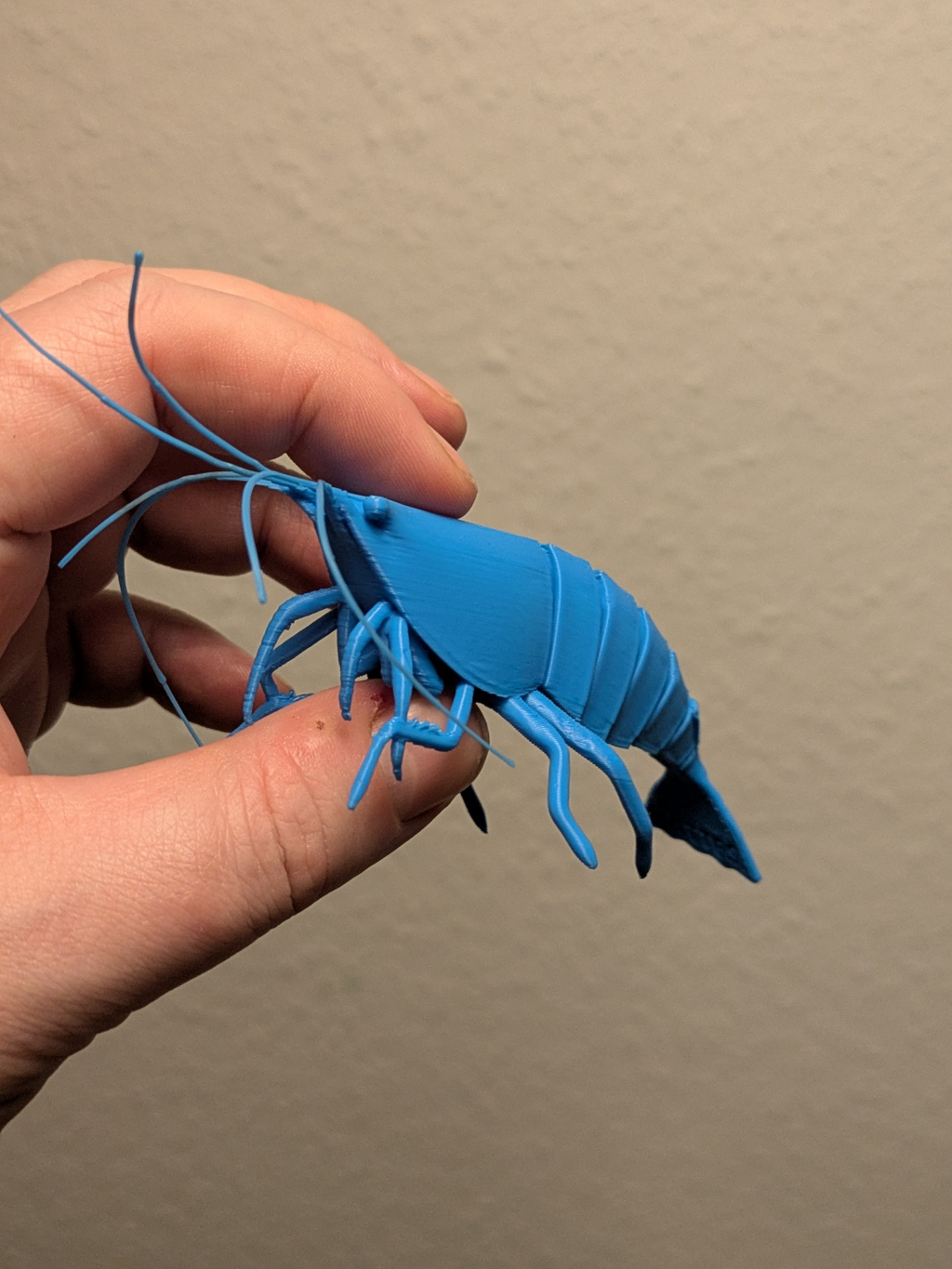 Articulated Shrimp