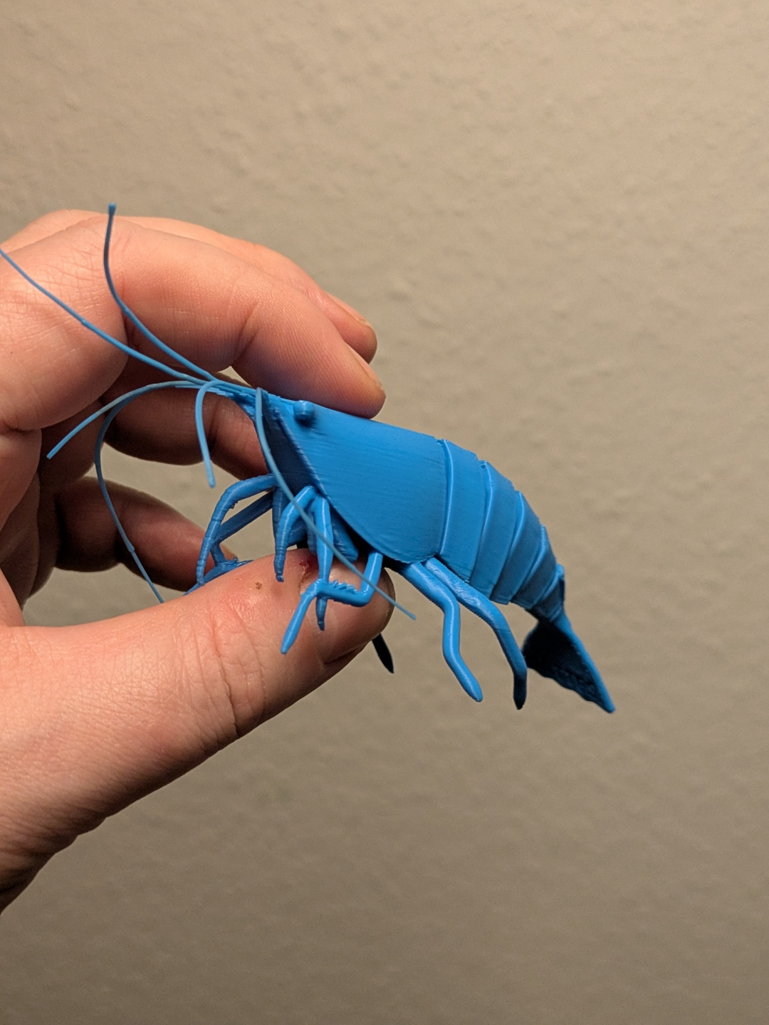 Articulated Shrimp