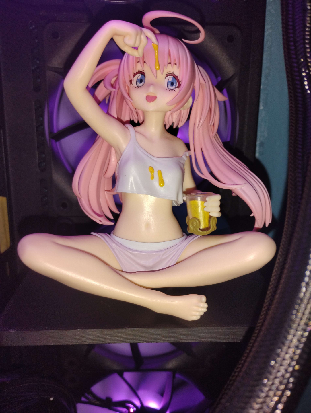 120mm fan shelf