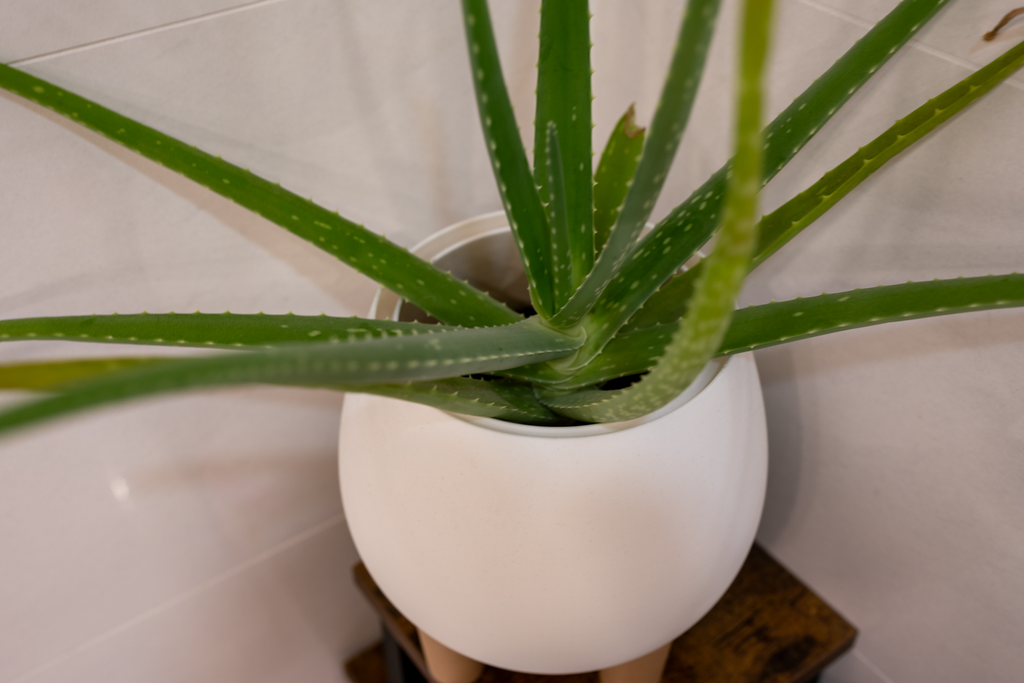 Pot with wooden legs