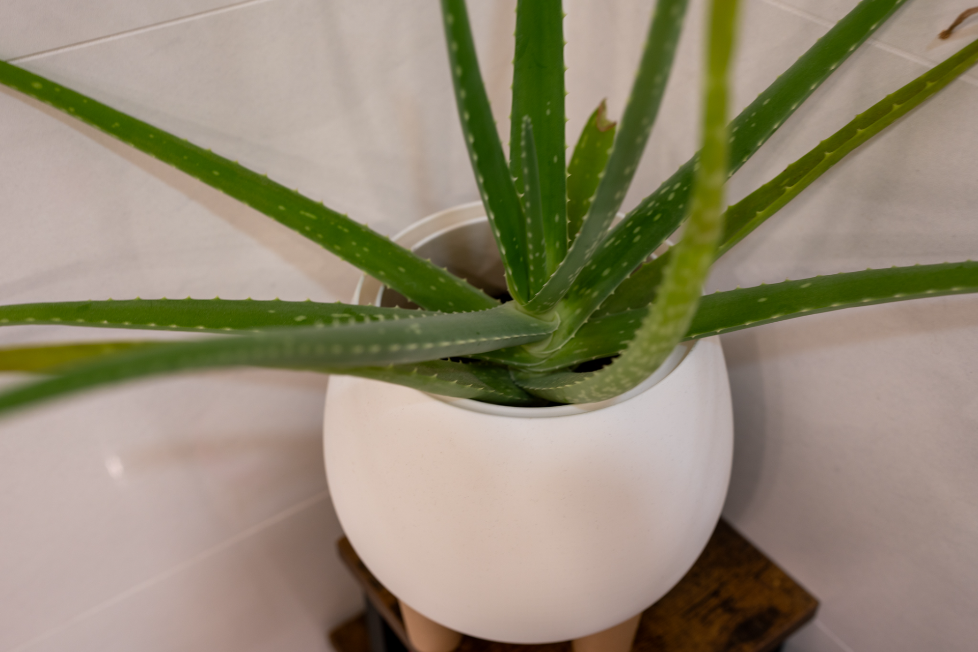 Pot with wooden legs