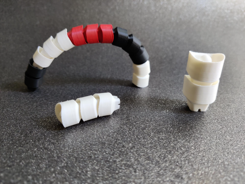 Parametric Snake Link