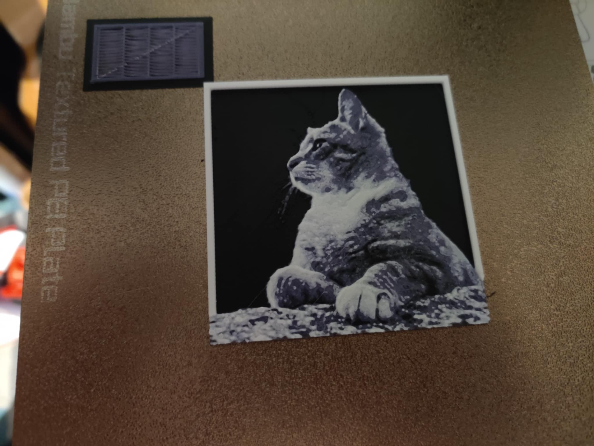 Cat side profile 3d/2d picture small with frame