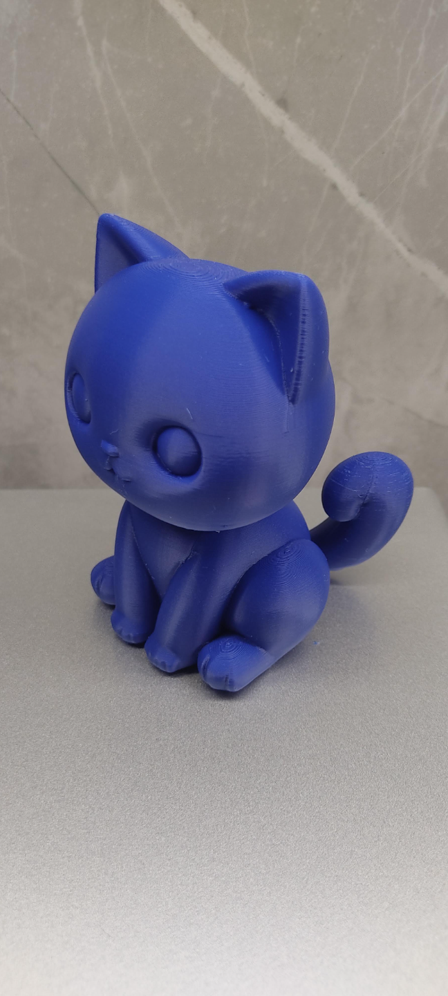 Cute Cat