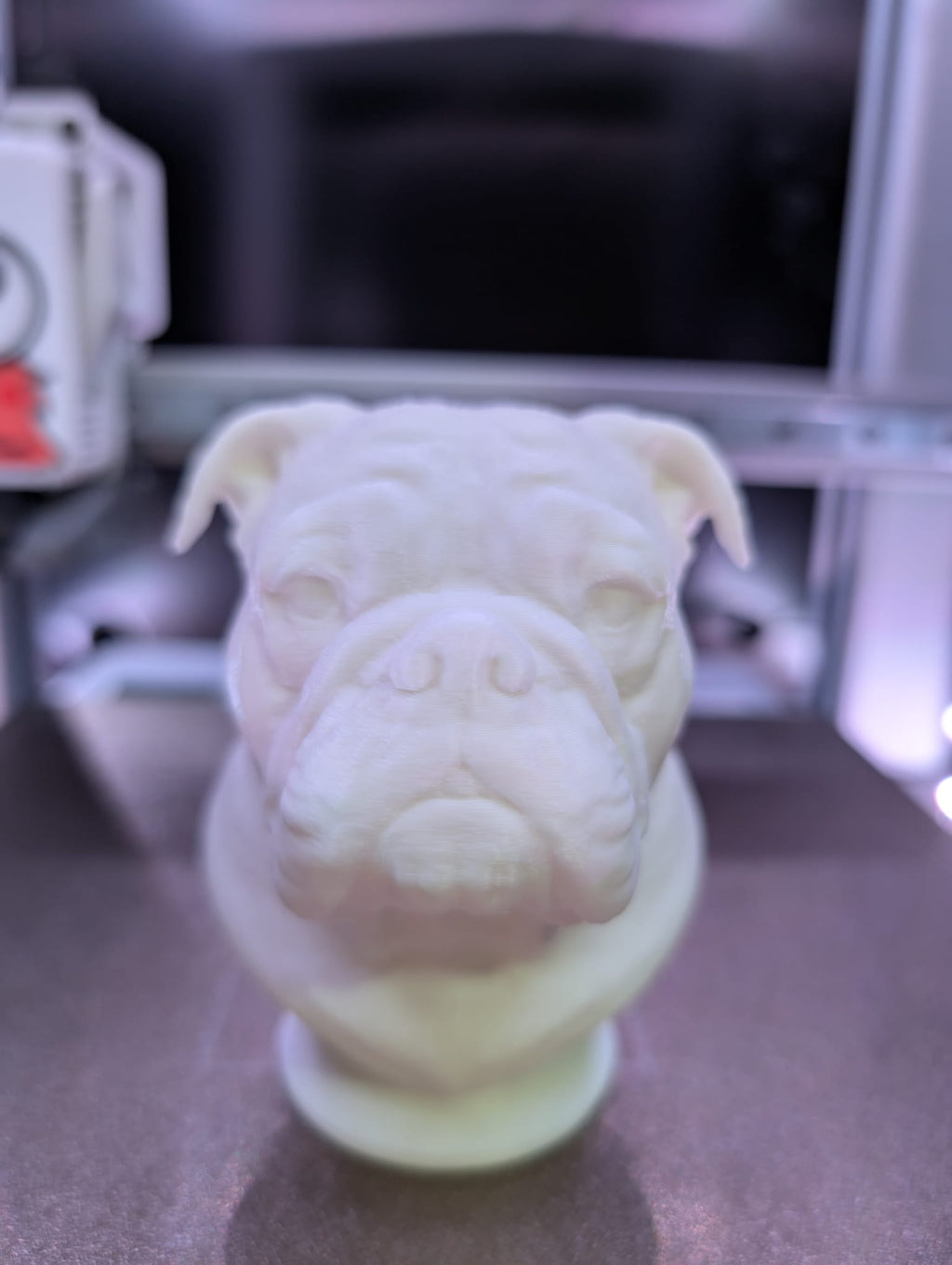 My english bulldog