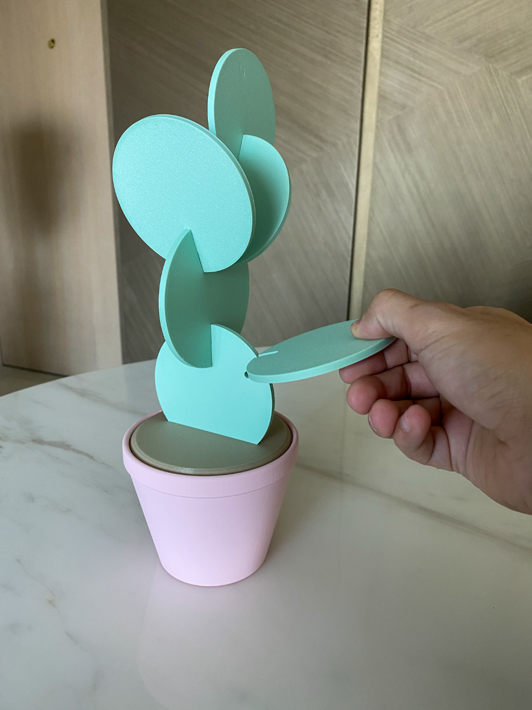 Cactus Plant Coaster