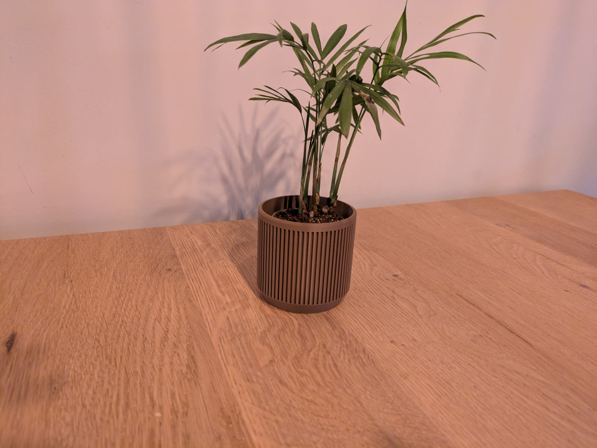 Modern planter pot + optional self watering.