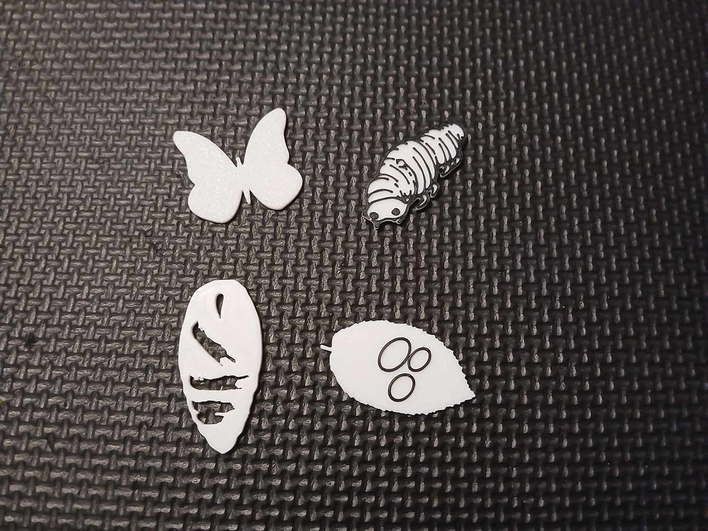 Sensory Tray – Butterfly Life Cycle