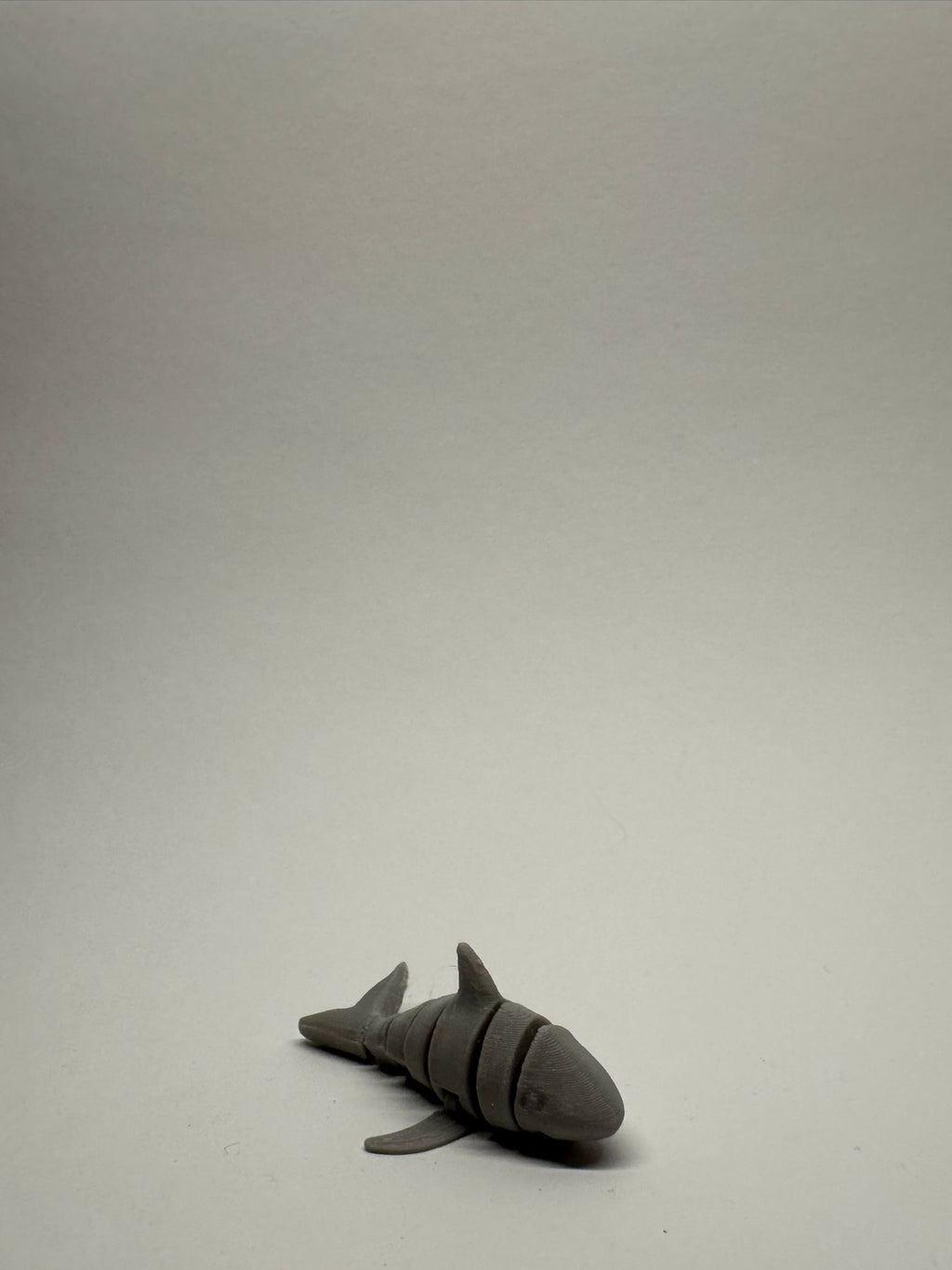 Cute Articulated Shark