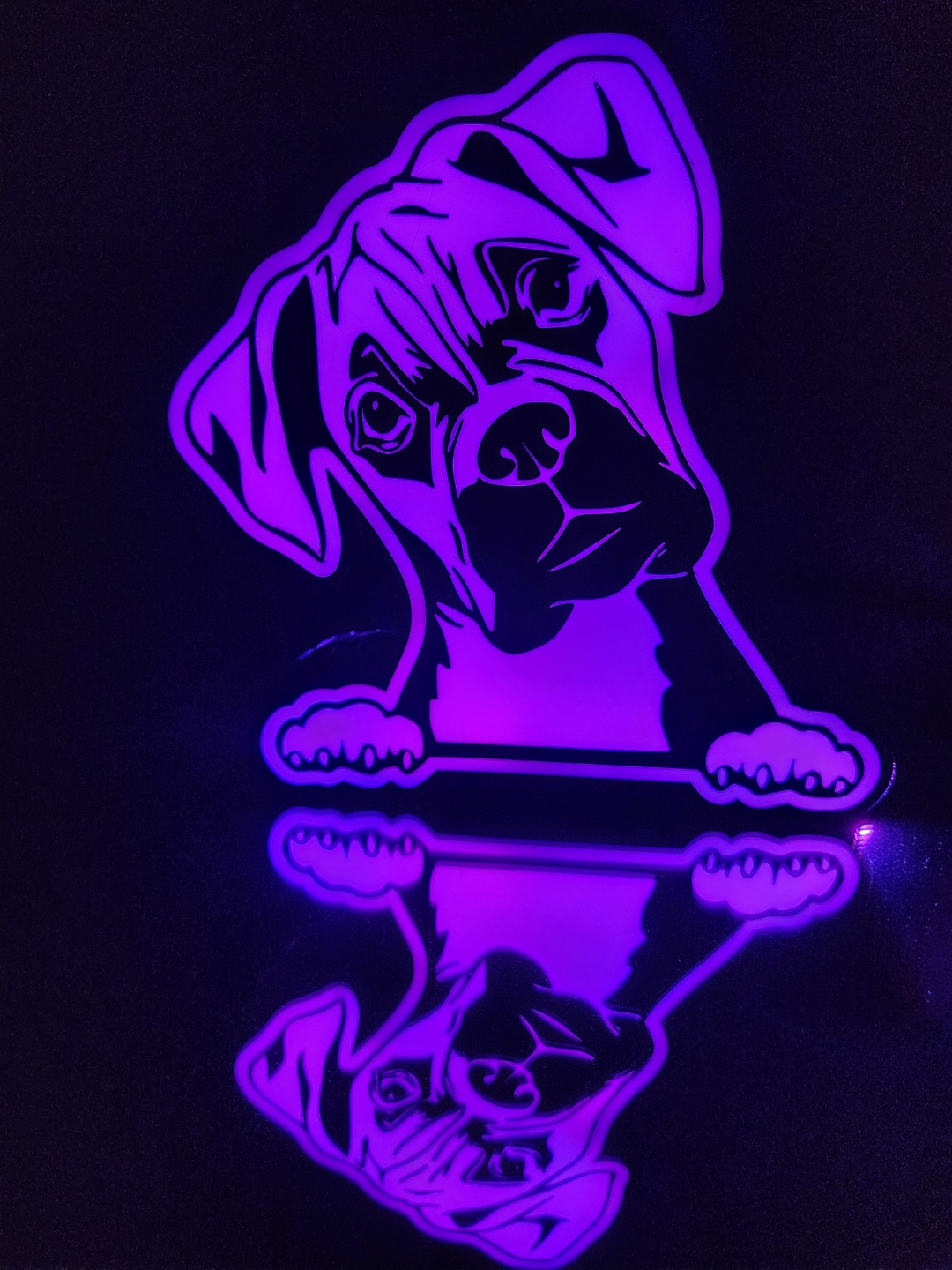 Boxer Dog Light Box LED Lamp