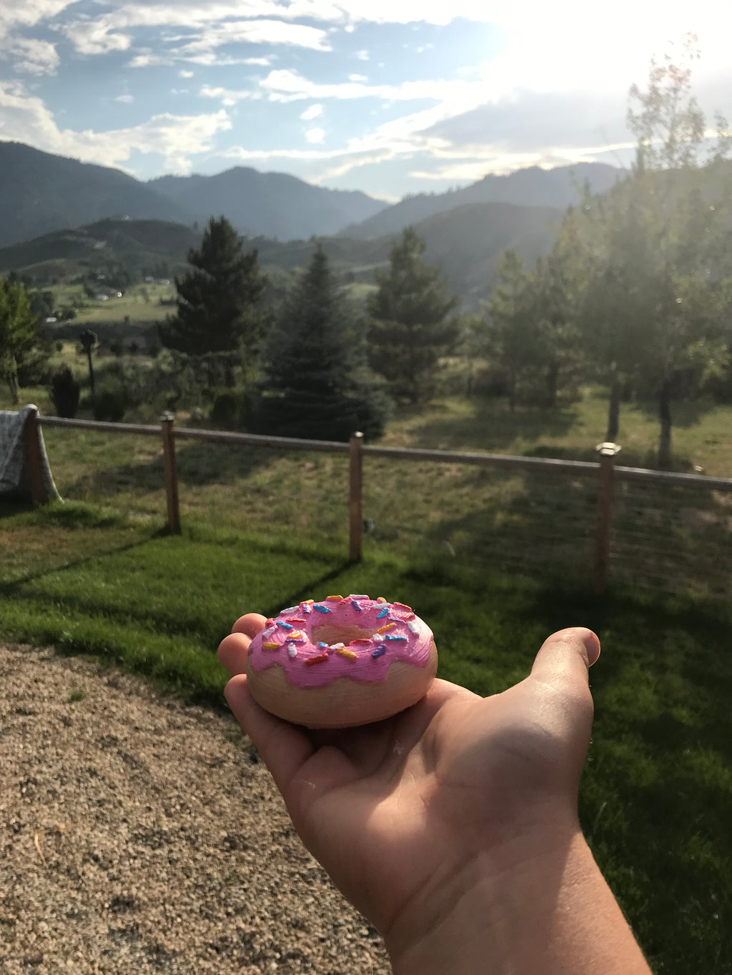 cute doughnut