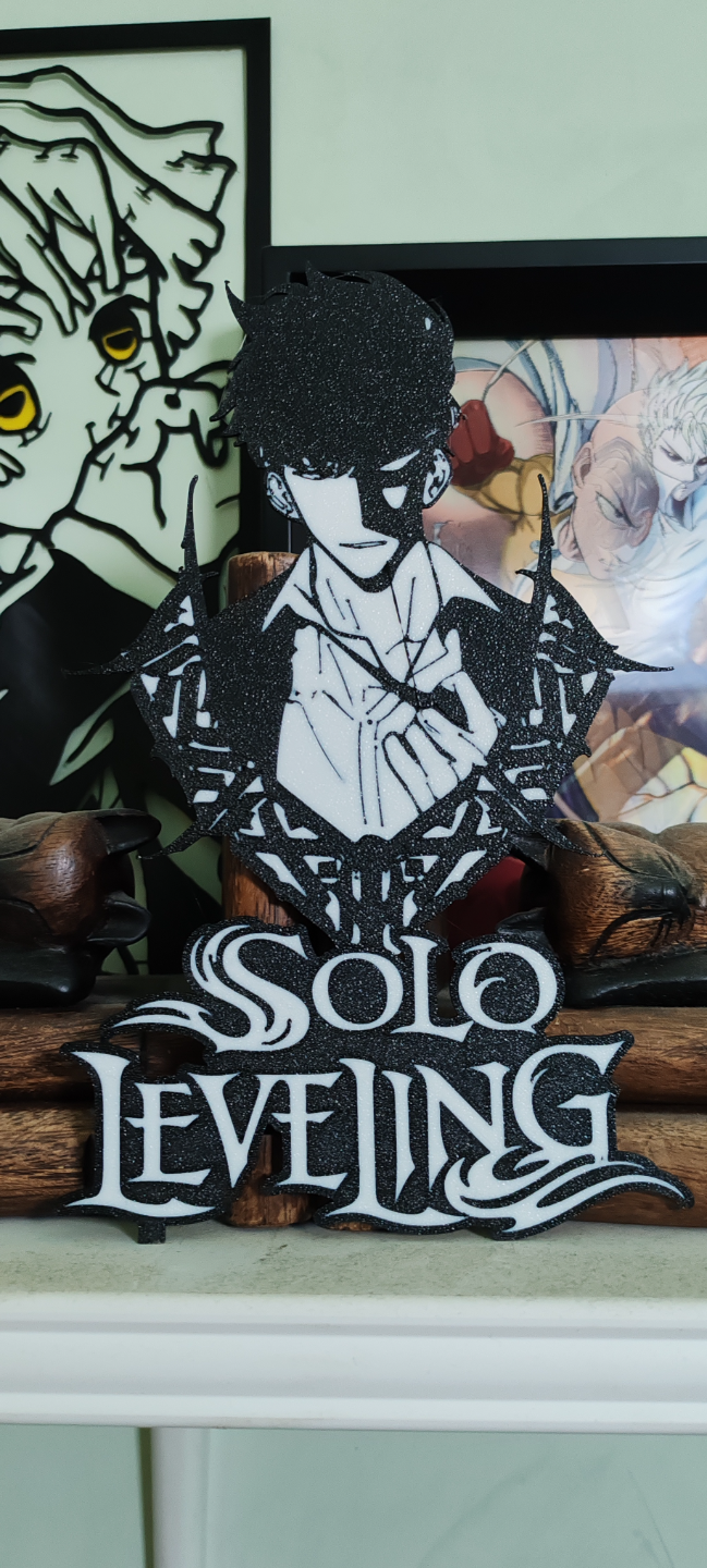 Solo Leveling Sung Jin Woo 2d wall art