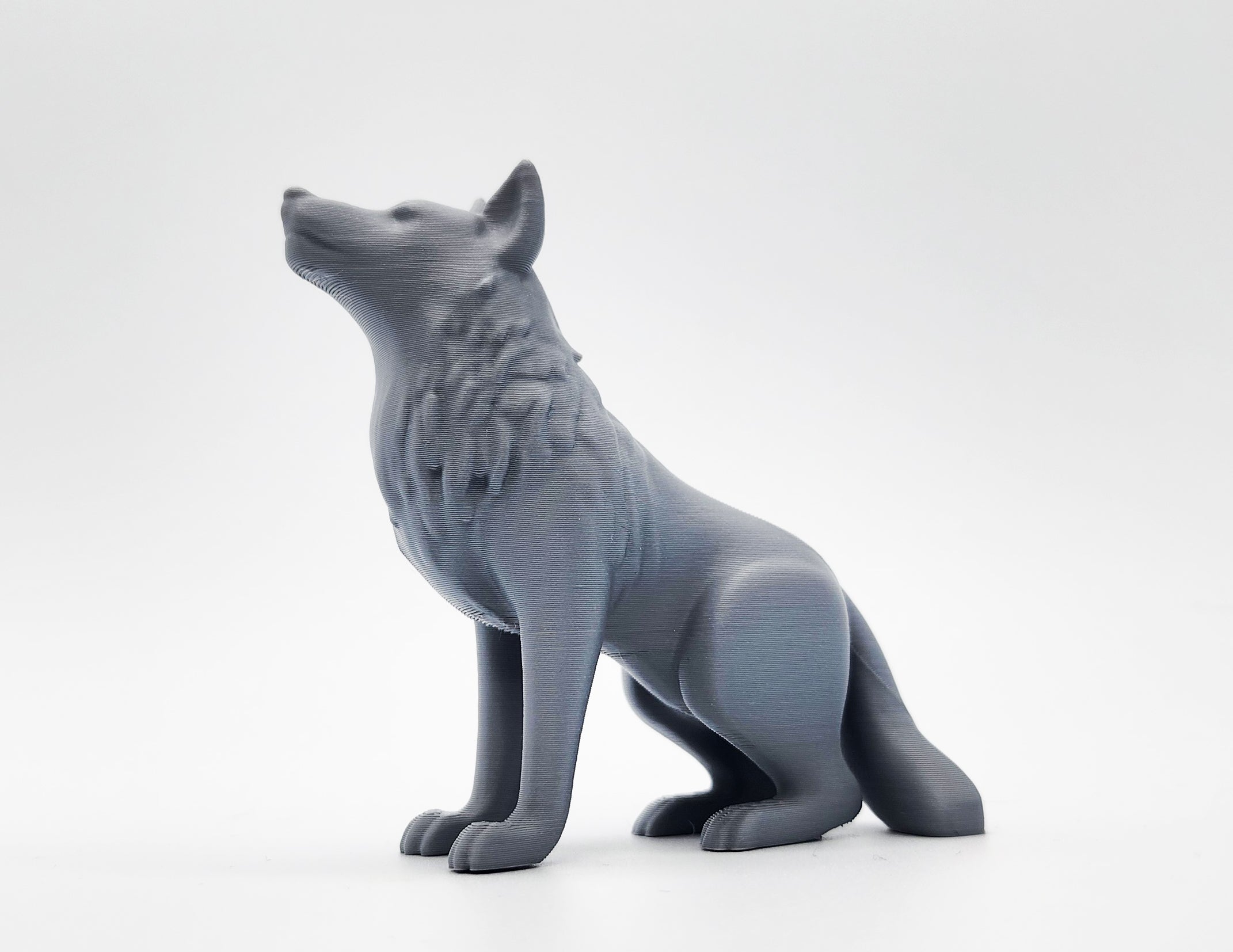 Seated Wolf