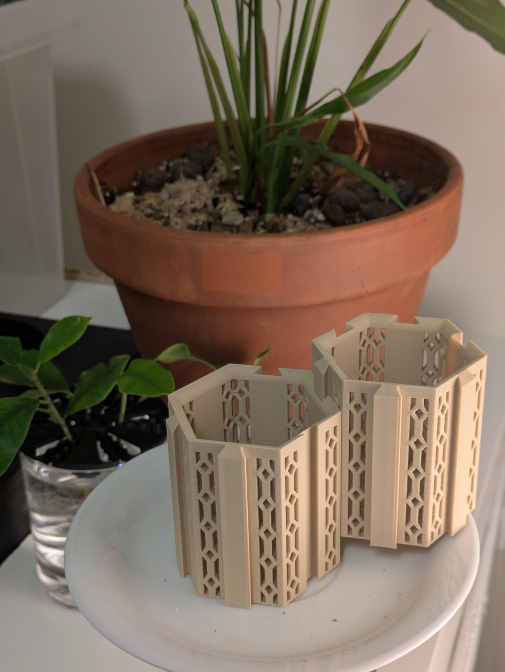 Pretty seedling starter (parametric)