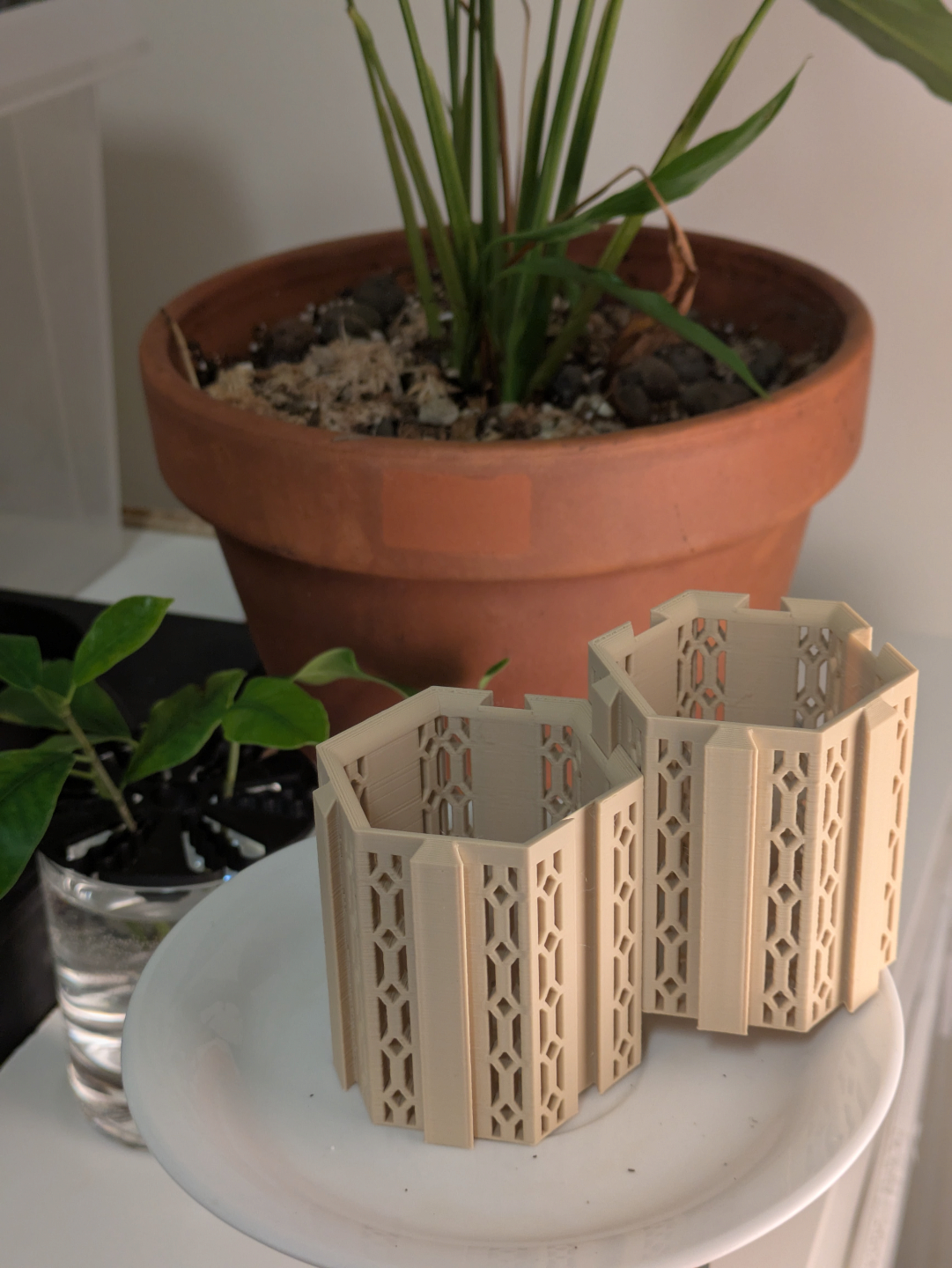 Pretty seedling starter (parametric)